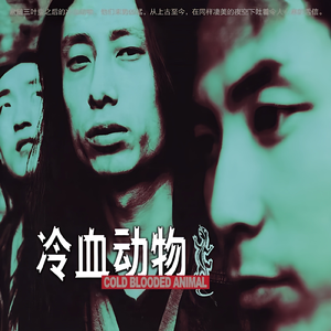 黑人抽搐潮喷在线
